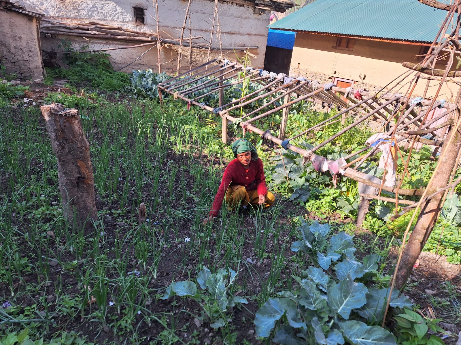 Support to women for Nutrition and Income generation support at Tila RMs Jumla